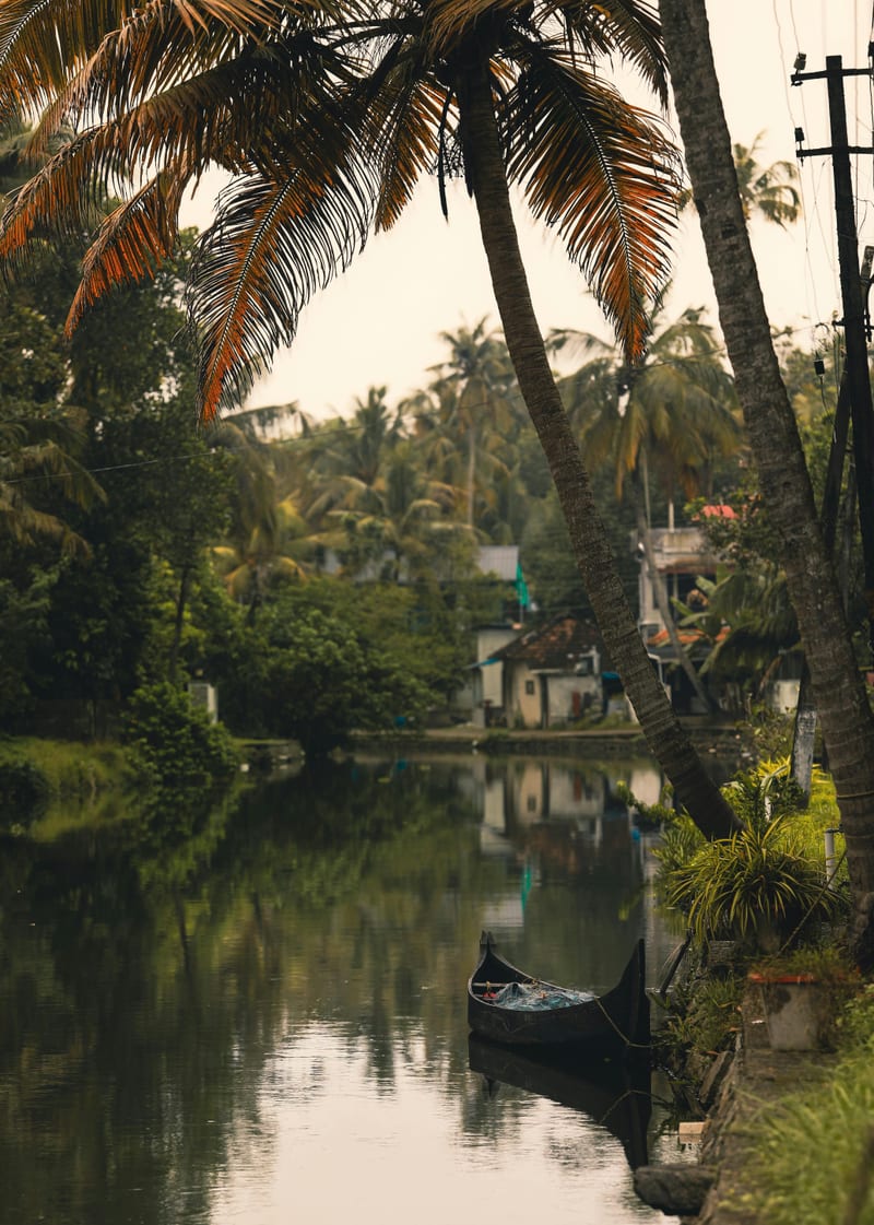 Palm-fringed canal at golden hour with small canoe and reflections